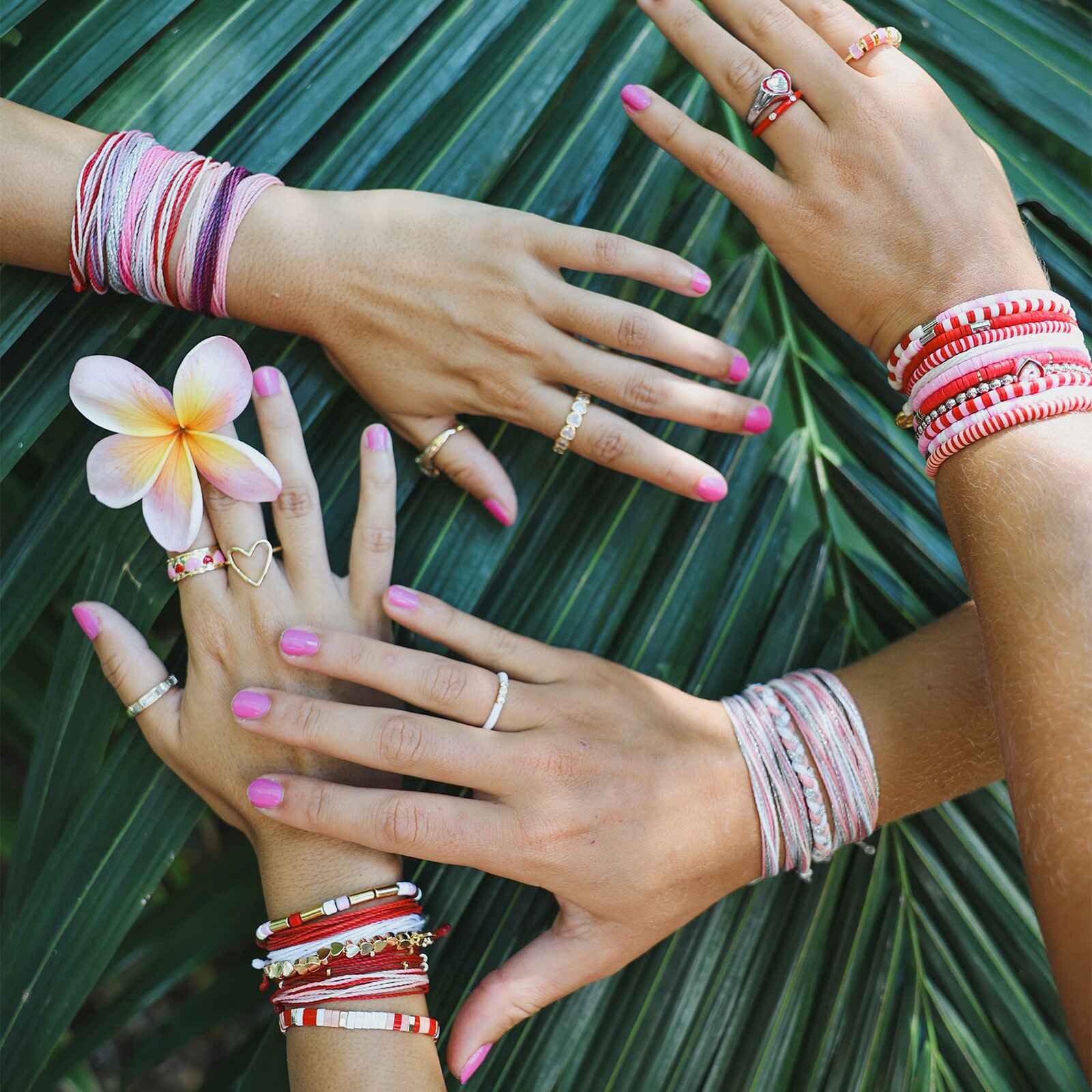 1956-pink-moment-friendship-10-pack-3.jpg Pink Moment Friendship 10 Pack