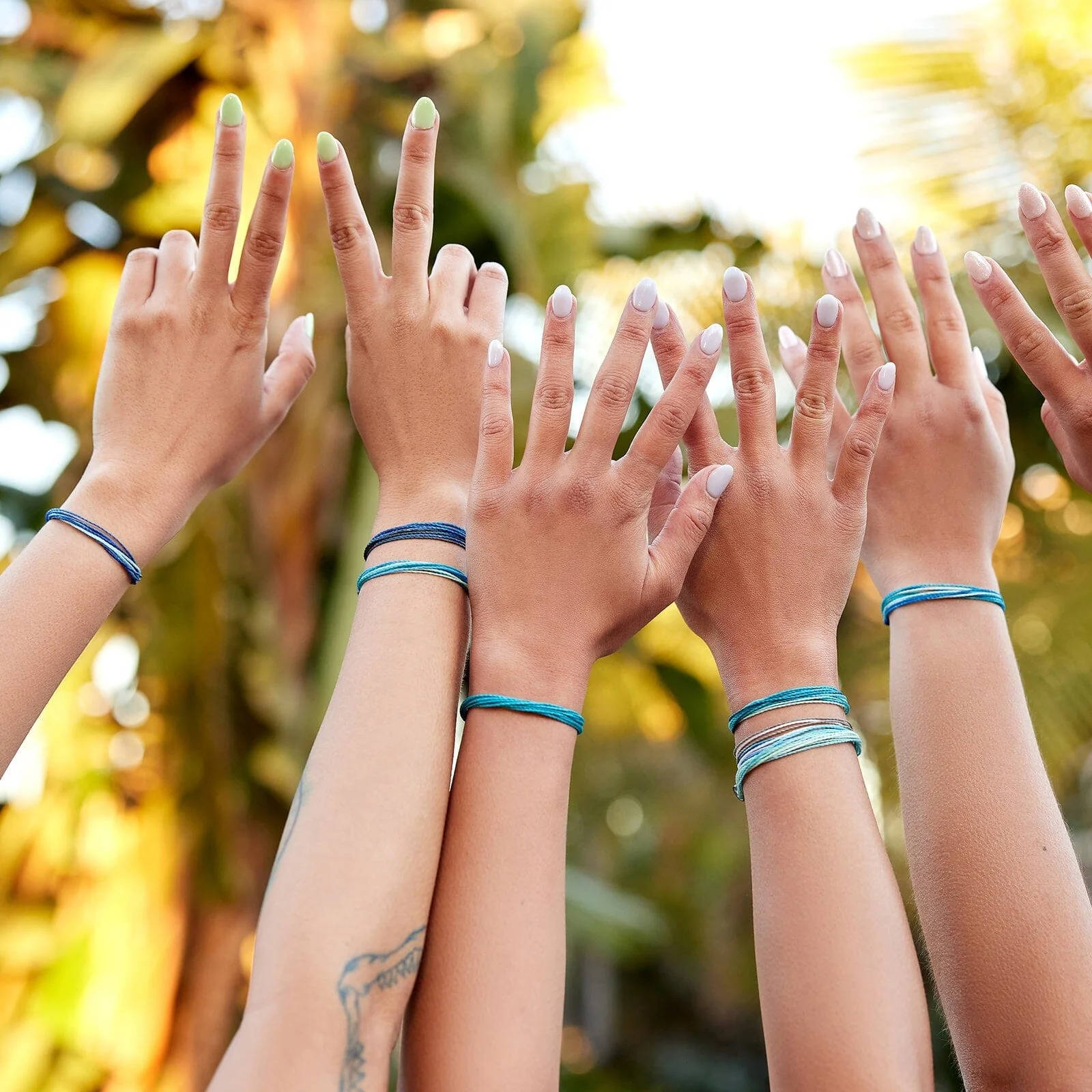 2278-blue-friendship-10-pack-3.webp Blue Friendship 10 Pack