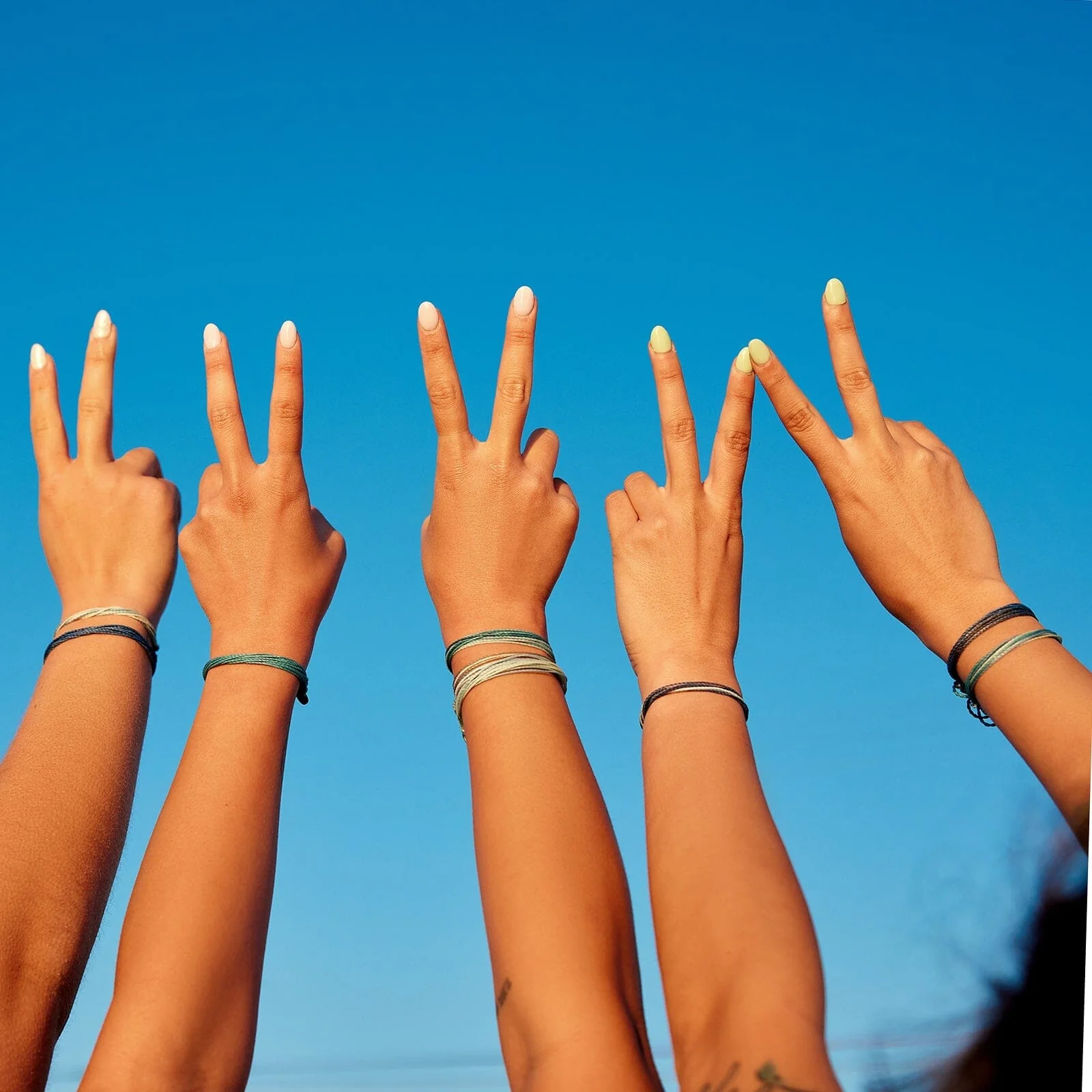 2278-blue-friendship-10-pack-8.webp Blue Friendship 10 Pack